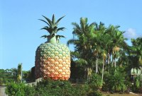 Огромен ананас стана културно наследство на Австралия
