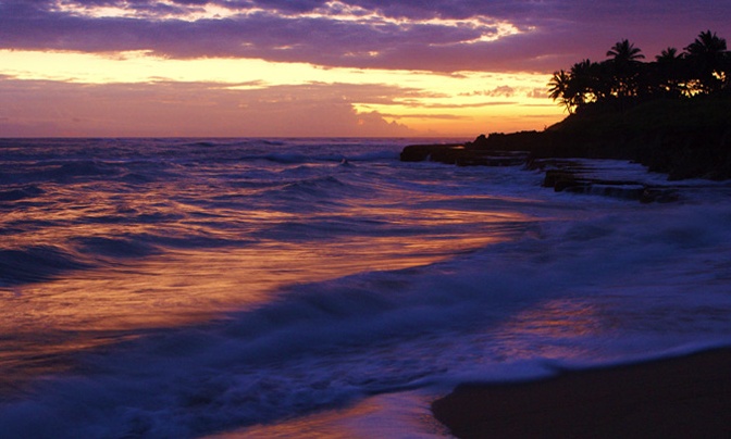 Palmera de Cabarete