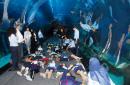 Dubai Aquarium & Underwater Zoo