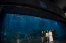 Dubai Aquarium & Underwater Zoo