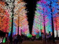 Уникална светлинна атракция в Малайзия